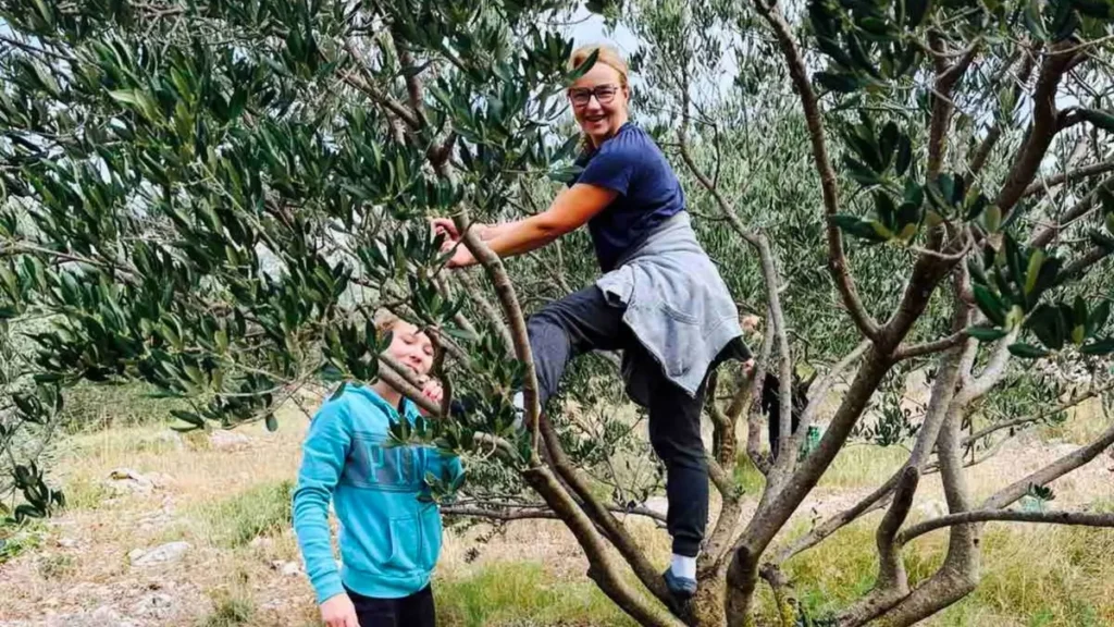 Dalmatian family gathering during olive harvest