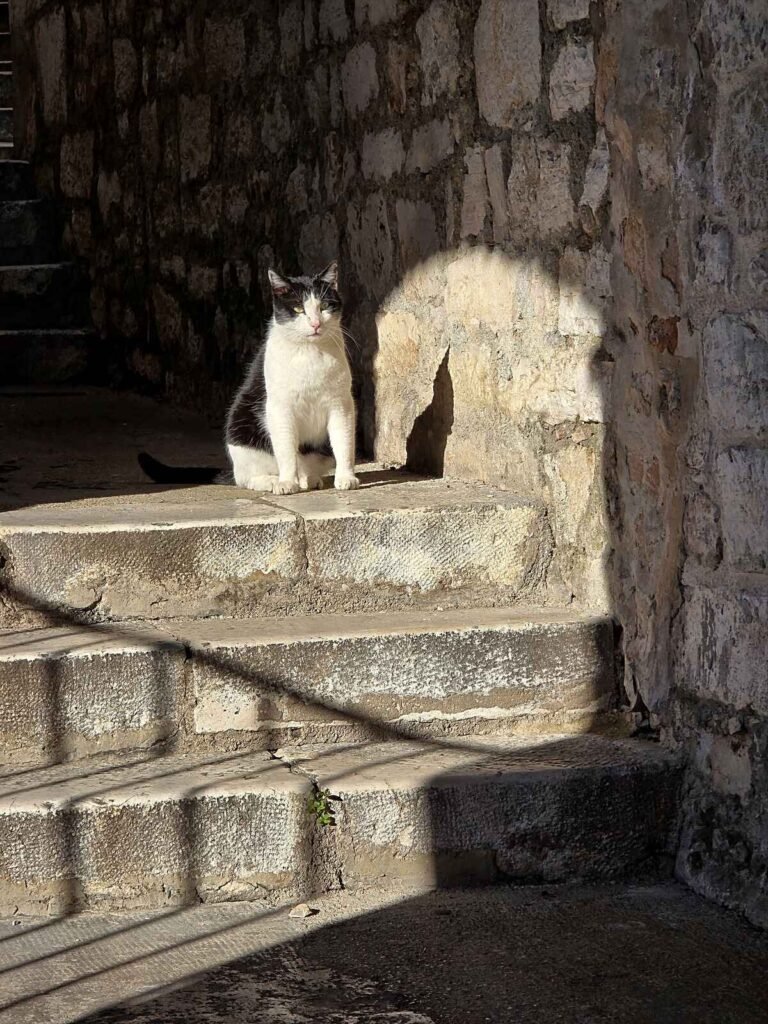 View of Šibenik old town and Adriatic coastline