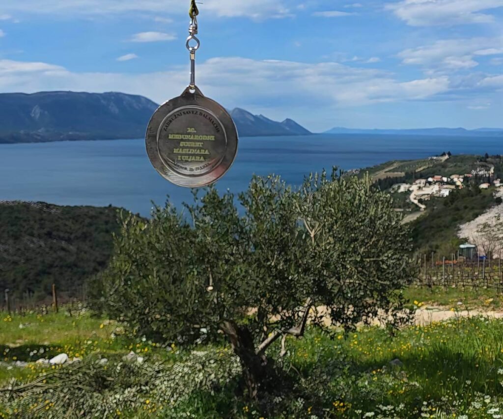 Award-winning extra virgin olive oil from Dalmatia